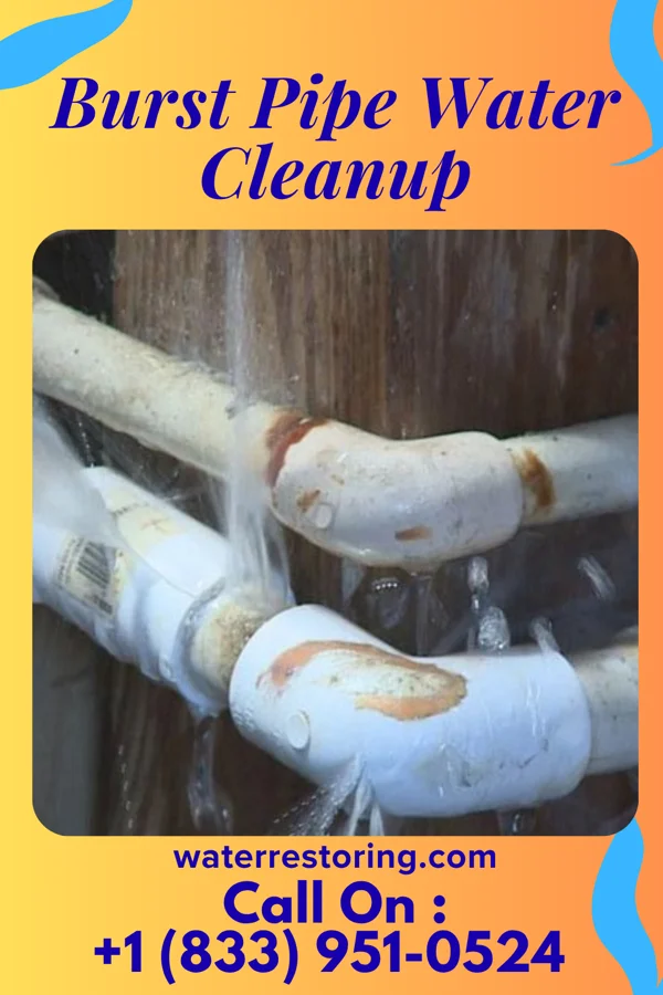 Burst Pipe Water Cleanup in Jugtown, PA