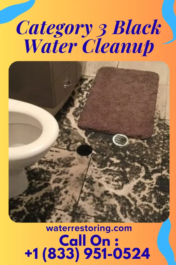 Category 3 Black Water Cleanup in Jugtown, PA