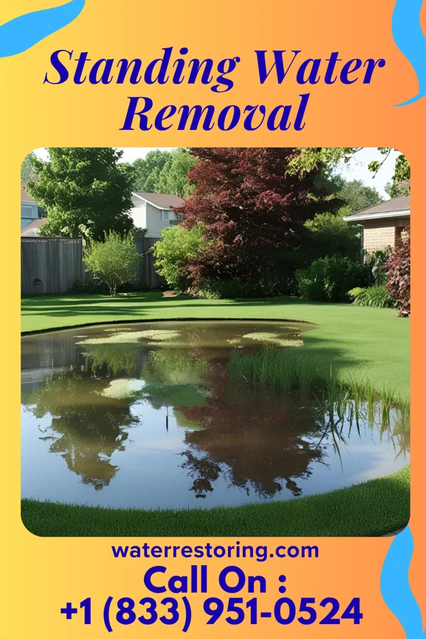 Standing Water Removal in Jugtown, PA